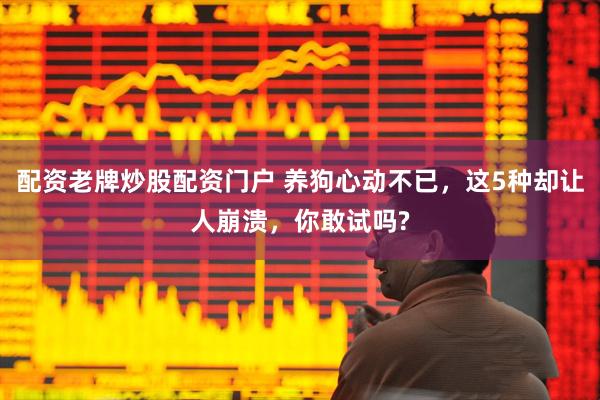 配资老牌炒股配资门户 养狗心动不已，这5种却让人崩溃，你敢试吗?