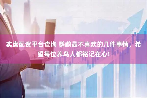 实盘配资平台查询 鹦鹉最不喜欢的几件事情，希望每位养鸟人都铭记在心!