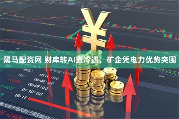 黑马配资网 财库转AI遭冷遇，矿企凭电力优势突围